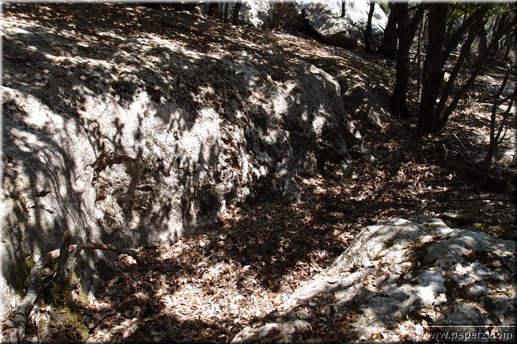 P6272850.JPG