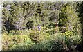 P6272793.JPG