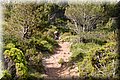 P6272797.JPG
