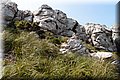 P6272800.JPG
