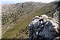 P6272809.JPG