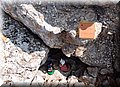 P6272820.JPG