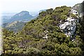 P6272843.JPG