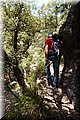 P6272859.JPG