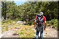 P6272863.JPG