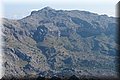 P7012926.JPG