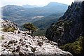 P7012941.JPG