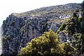 P7012942.JPG