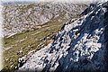 P7012960.JPG