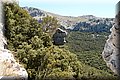 P7013004.JPG