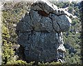 P7013007.JPG