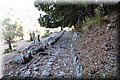 P7043037.JPG