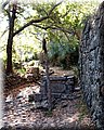 P7043038.JPG
