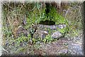 P7043040.JPG