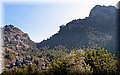 P7043045.JPG