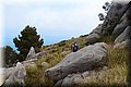 P7043066.JPG