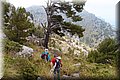P7043068.JPG