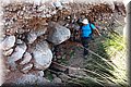 P7083210.JPG