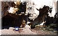 P7083230.JPG