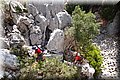 P7113358.JPG