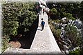 P7113363.JPG