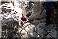 P7113374.JPG