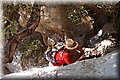P7113389.JPG