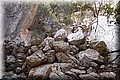 P7113408.JPG