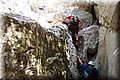 P7113418.JPG