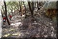 P7113430.JPG