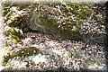 P7113432.JPG
