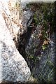 P7113436.JPG