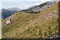P7113438.JPG