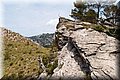 P7113440.JPG