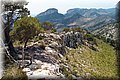 P7113441.JPG