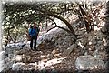 P7153445.JPG
