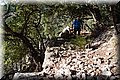 P7153448.JPG
