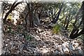 P7153449.JPG