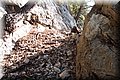 P7153451.JPG