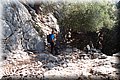 P7153454.JPG