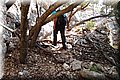P7153455.JPG