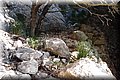 P7153462.JPG