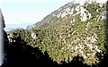 P7153465.JPG