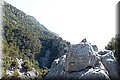 P7153481.JPG