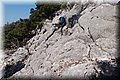 P7153489.JPG
