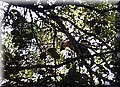 P7153495.JPG
