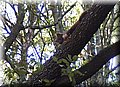 P7153502.JPG