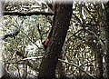 P7153504.JPG