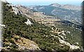 P7153516.JPG