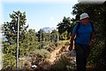 P7153523.JPG